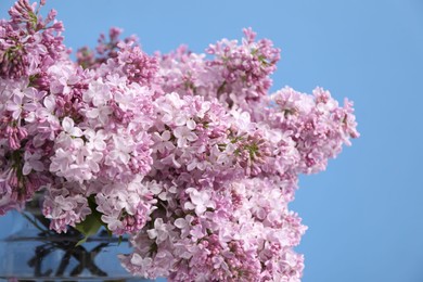 Photo of Beautiful lilac flowers on light blue background, closeup