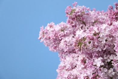 Photo of Beautiful lilac flowers on light blue background, closeup. Space for text