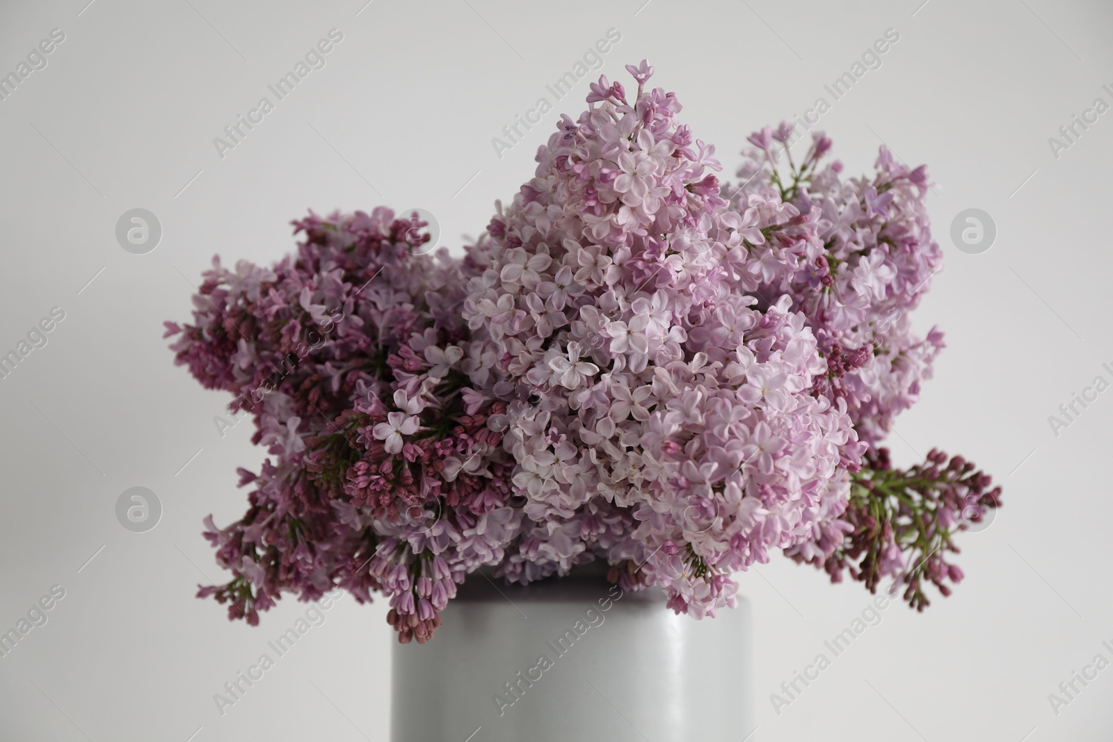 Beautiful lilac flowers in vase near white table, closeup Photo of Beautiful lilac flowers in vase near white table, closeup