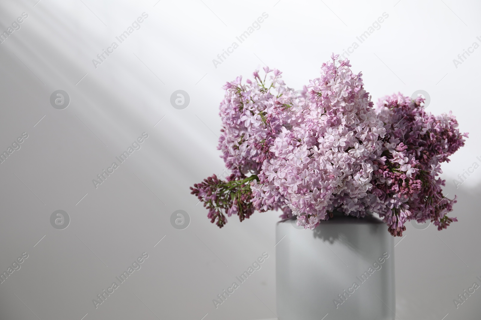 Beautiful lilac flowers in vase near white table, closeup. Space for text Photo of Beautiful lilac flowers in vase near white table, closeup. Space for text