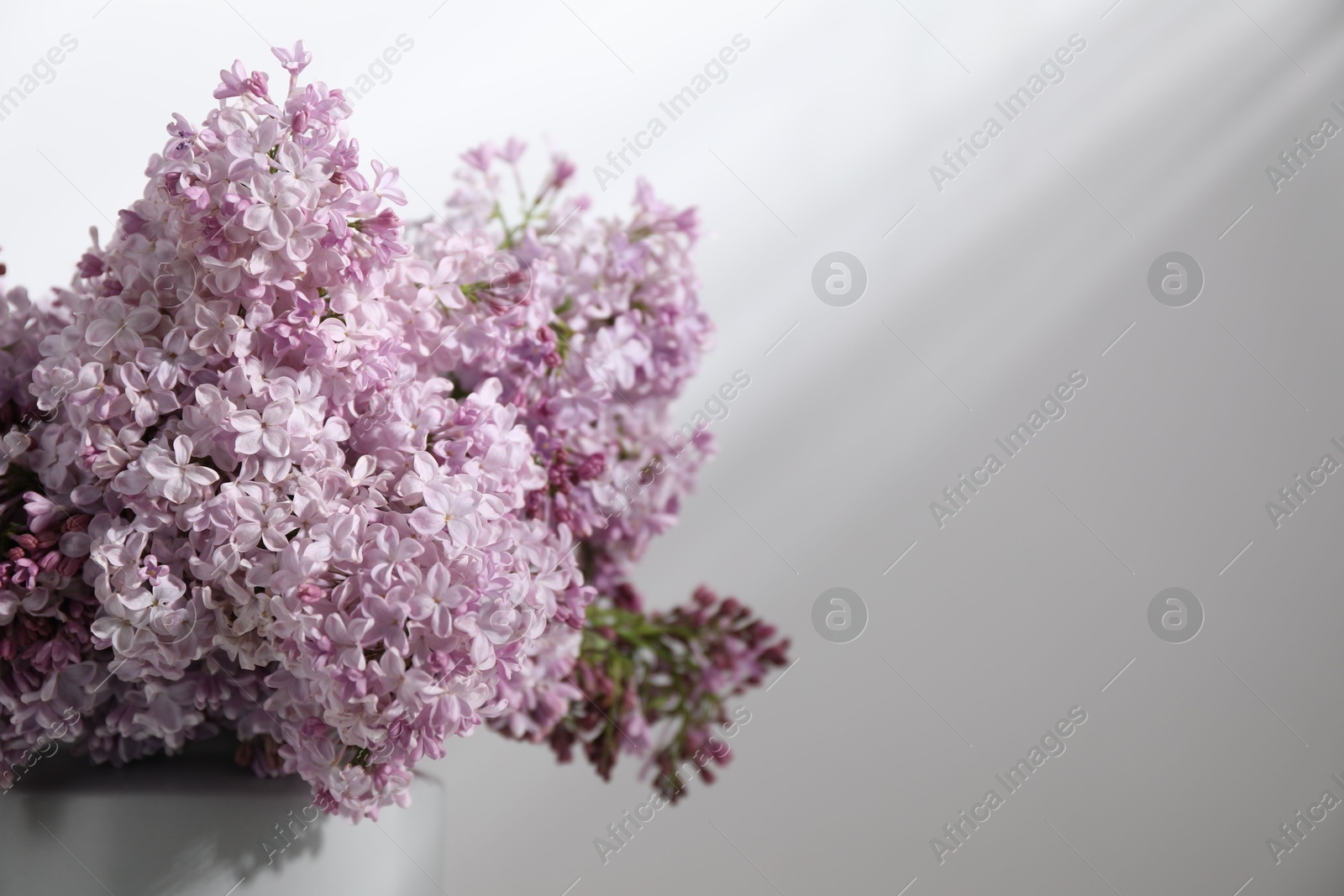 Beautiful lilac flowers in vase near white table, closeup. Space for text Photo of Beautiful lilac flowers in vase near white table, closeup. Space for text