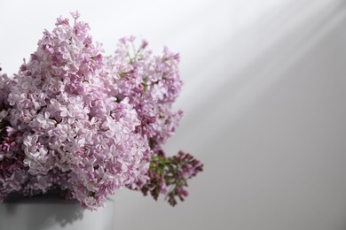 Photo of Beautiful lilac flowers in vase near white table, closeup. Space for text