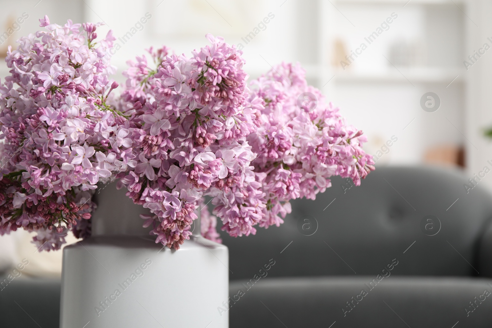 Beautiful lilac flowers in vase indoors, closeup Photo of Beautiful lilac flowers in vase indoors, closeup
