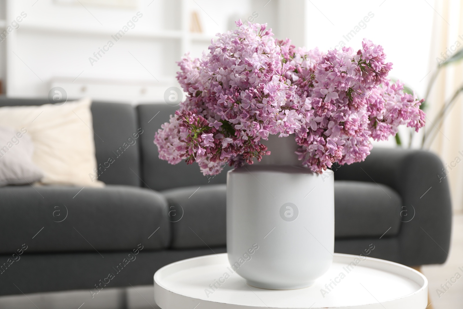 Beautiful lilac flowers in vase on table indoors, space for text Photo of Beautiful lilac flowers in vase on table indoors, space for text