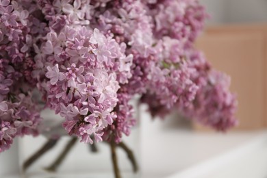 Photo of Beautiful lilac flowers in vase indoors, closeup. Space for text