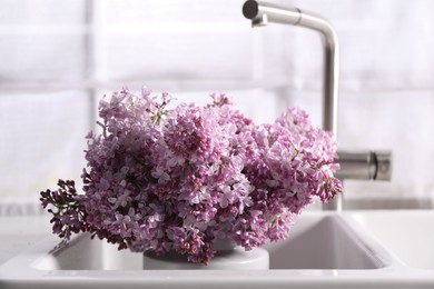 Photo of Beautiful lilac flowers in kitchen sink indoors, closeup