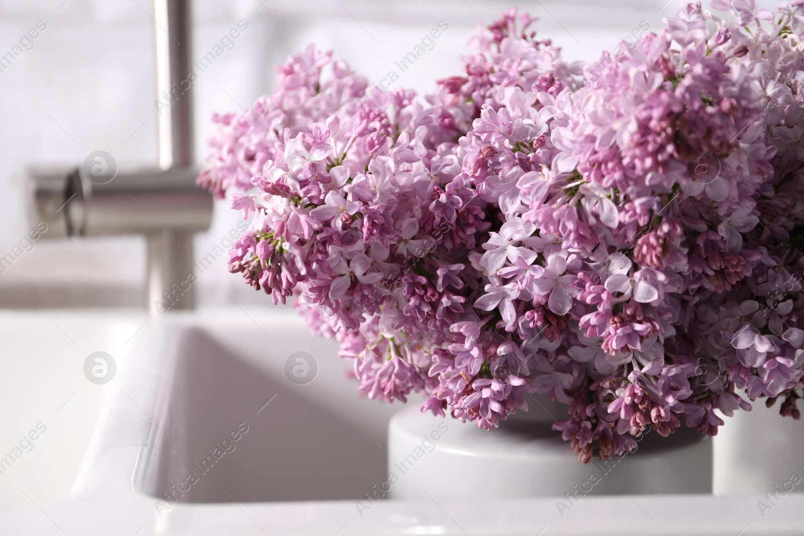 Beautiful lilac flowers in kitchen sink indoors, closeup Photo of Beautiful lilac flowers in kitchen sink indoors, closeup