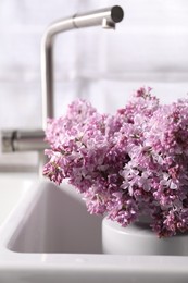 Photo of Beautiful lilac flowers in kitchen sink indoors, closeup