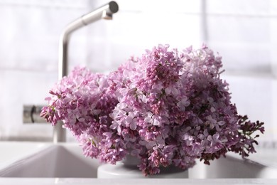 Photo of Beautiful lilac flowers in kitchen sink indoors, closeup