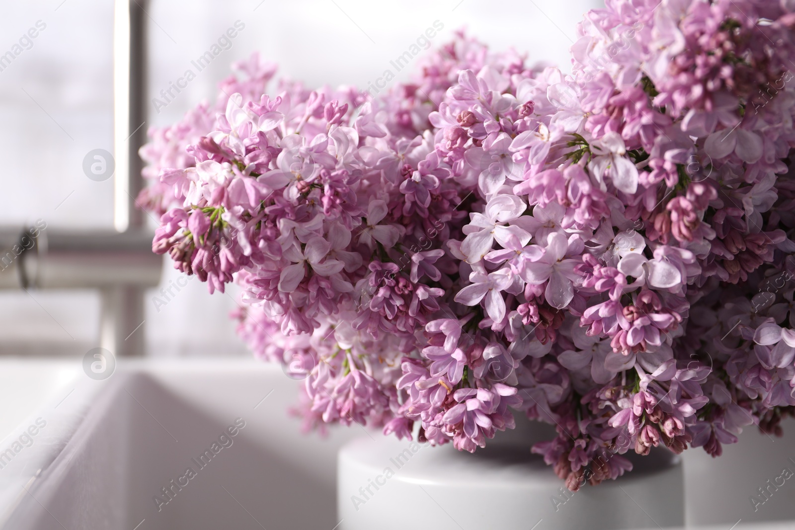 Beautiful lilac flowers in kitchen sink indoors, closeup Photo of Beautiful lilac flowers in kitchen sink indoors, closeup