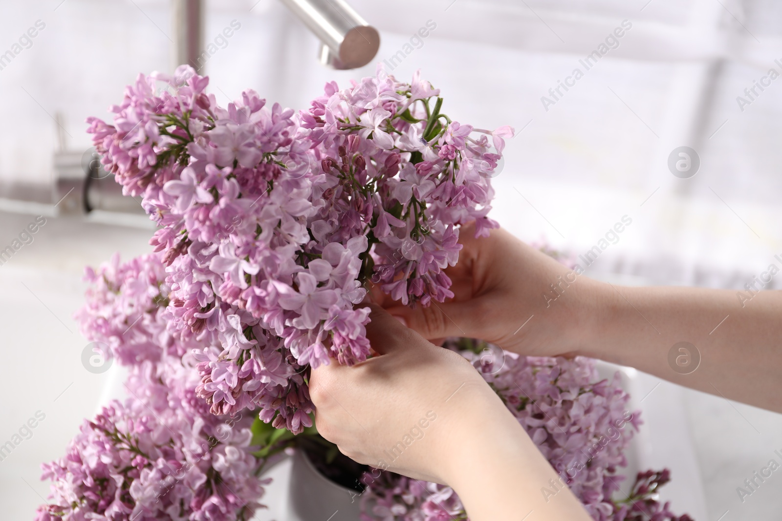 Woman with beautiful lilac flowers indoors, closeup Photo of Woman with beautiful lilac flowers indoors, closeup