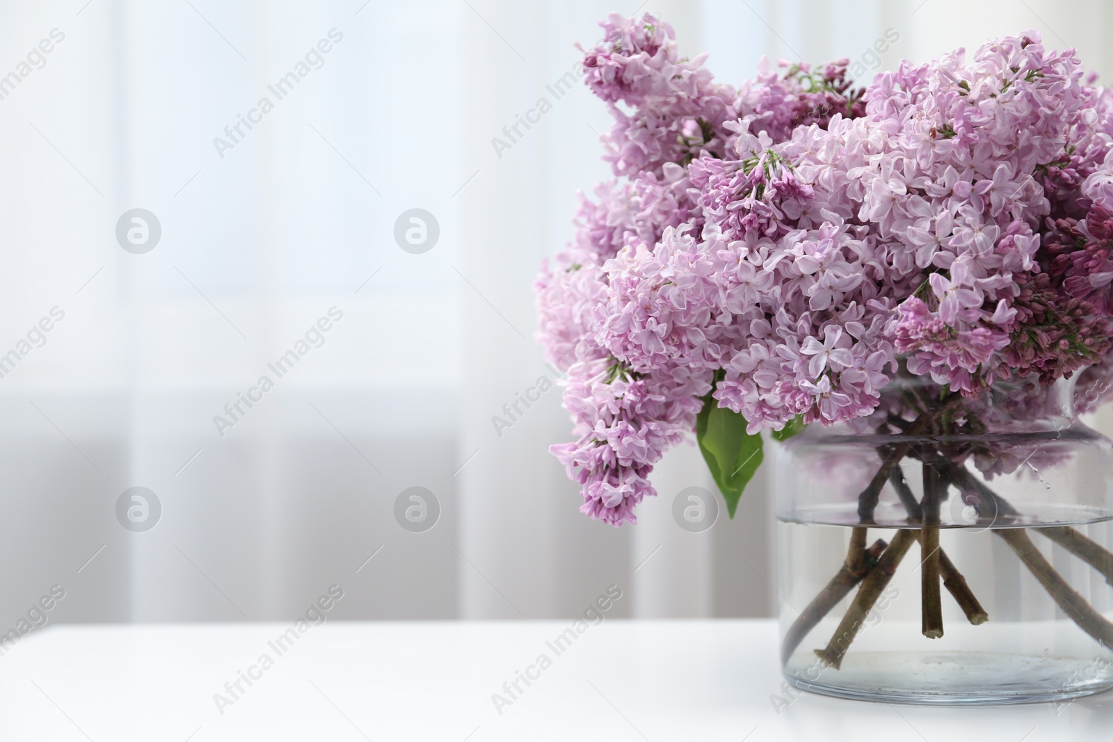 Beautiful lilac flowers in glass vase on white table indoors, closeup. Space for text Photo of Beautiful lilac flowers in glass vase on white table indoors, closeup. Space for text