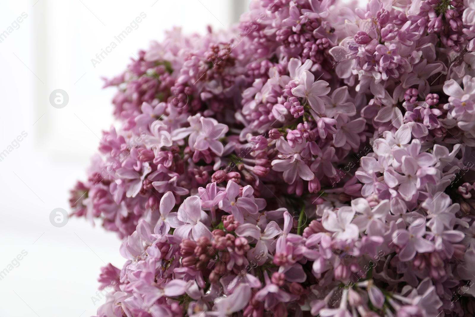 Beautiful lilac flowers on blurred background, closeup Photo of Beautiful lilac flowers on blurred background, closeup