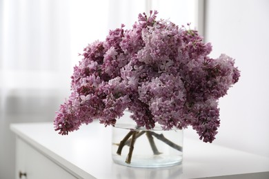 Photo of Beautiful lilac flowers in glass vase on cabinet indoors