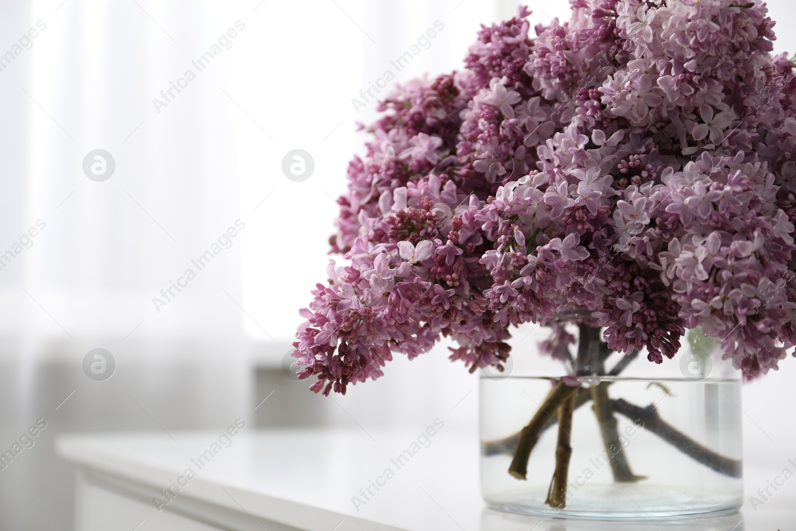 Beautiful lilac flowers in glass vase on cabinet indoors, closeup. Space for text Photo of Beautiful lilac flowers in glass vase on cabinet indoors, closeup. Space for text