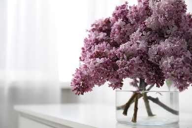 Photo of Beautiful lilac flowers in glass vase on cabinet indoors, closeup. Space for text