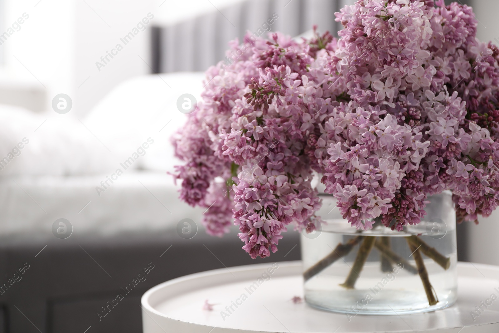 Beautiful lilac flowers in glass vase on table indoors, closeup. Space for text Photo of Beautiful lilac flowers in glass vase on table indoors, closeup. Space for text