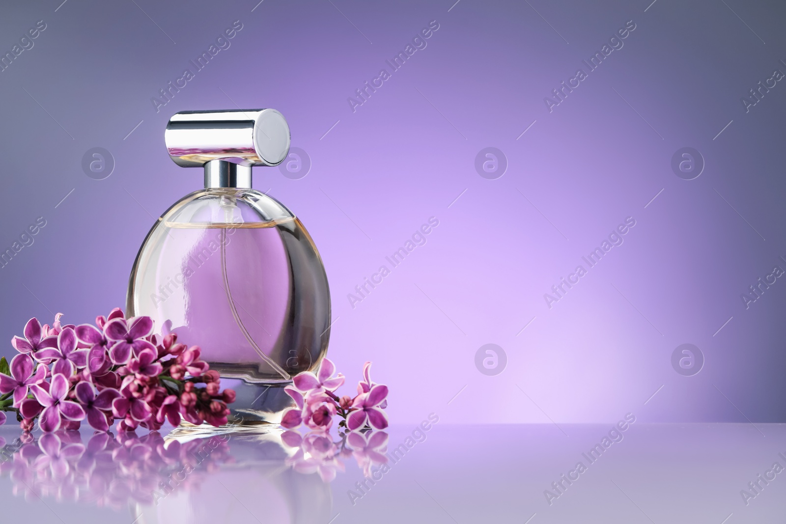 Beautiful lilac flowers and perfume on mirror surface against violet gradient background, space for text Photo of Beautiful lilac flowers and perfume on mirror surface against violet gradient background, space for text