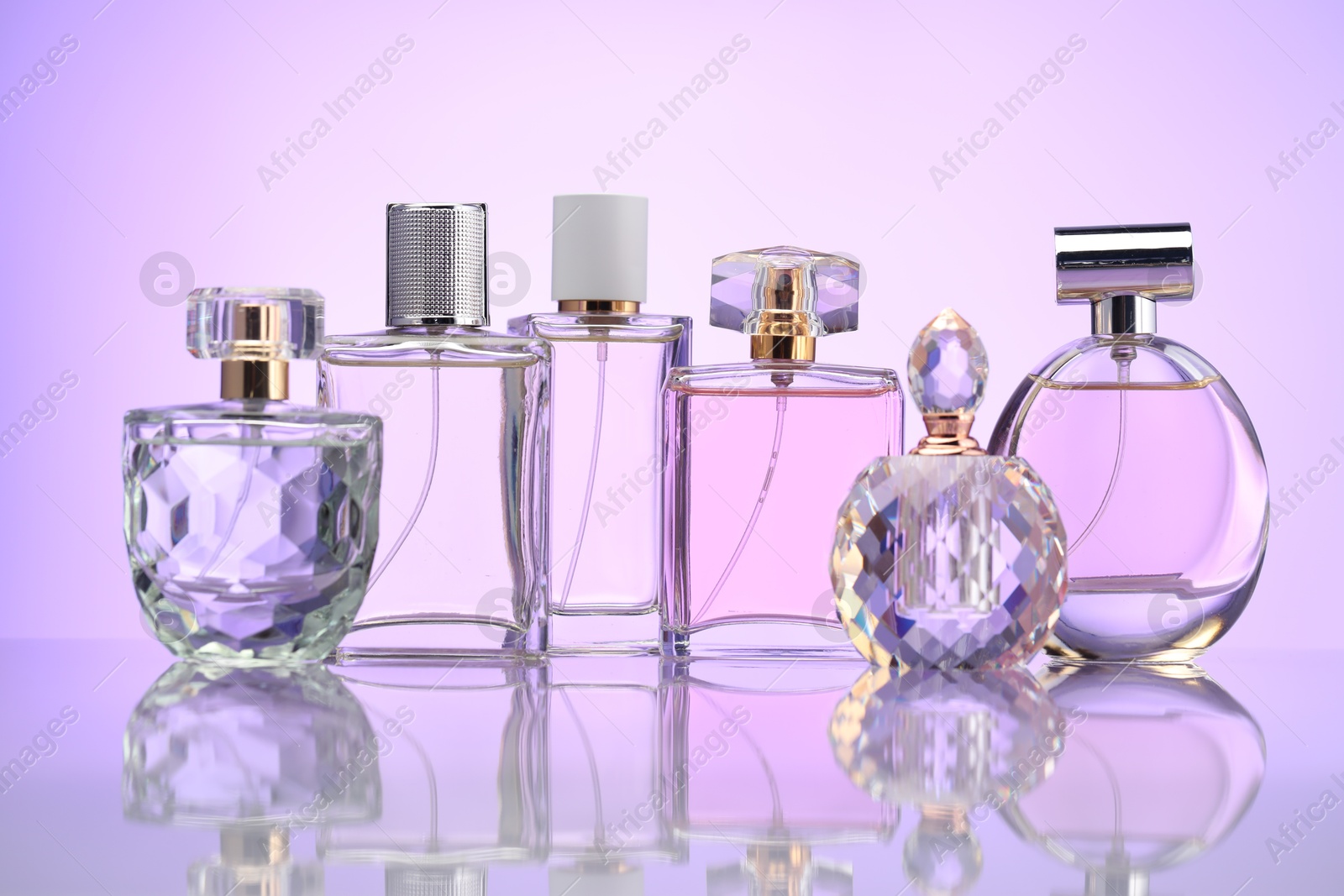 Bottles of perfume on mirror surface against pale violet gradient background Photo of Bottles of perfume on mirror surface against pale violet gradient background