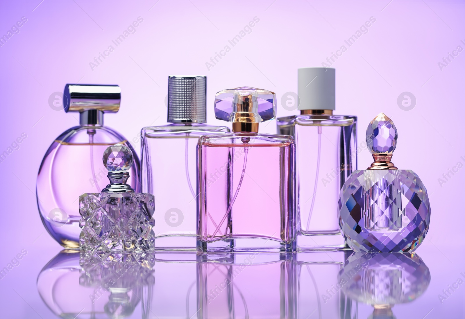 Bottles of perfume on mirror surface against pale violet gradient background Photo of Bottles of perfume on mirror surface against pale violet gradient background