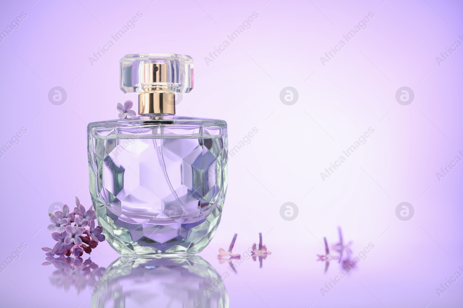 Beautiful lilac flowers and perfume on mirror surface against violet gradient background, space for text Photo of Beautiful lilac flowers and perfume on mirror surface against violet gradient background, space for text