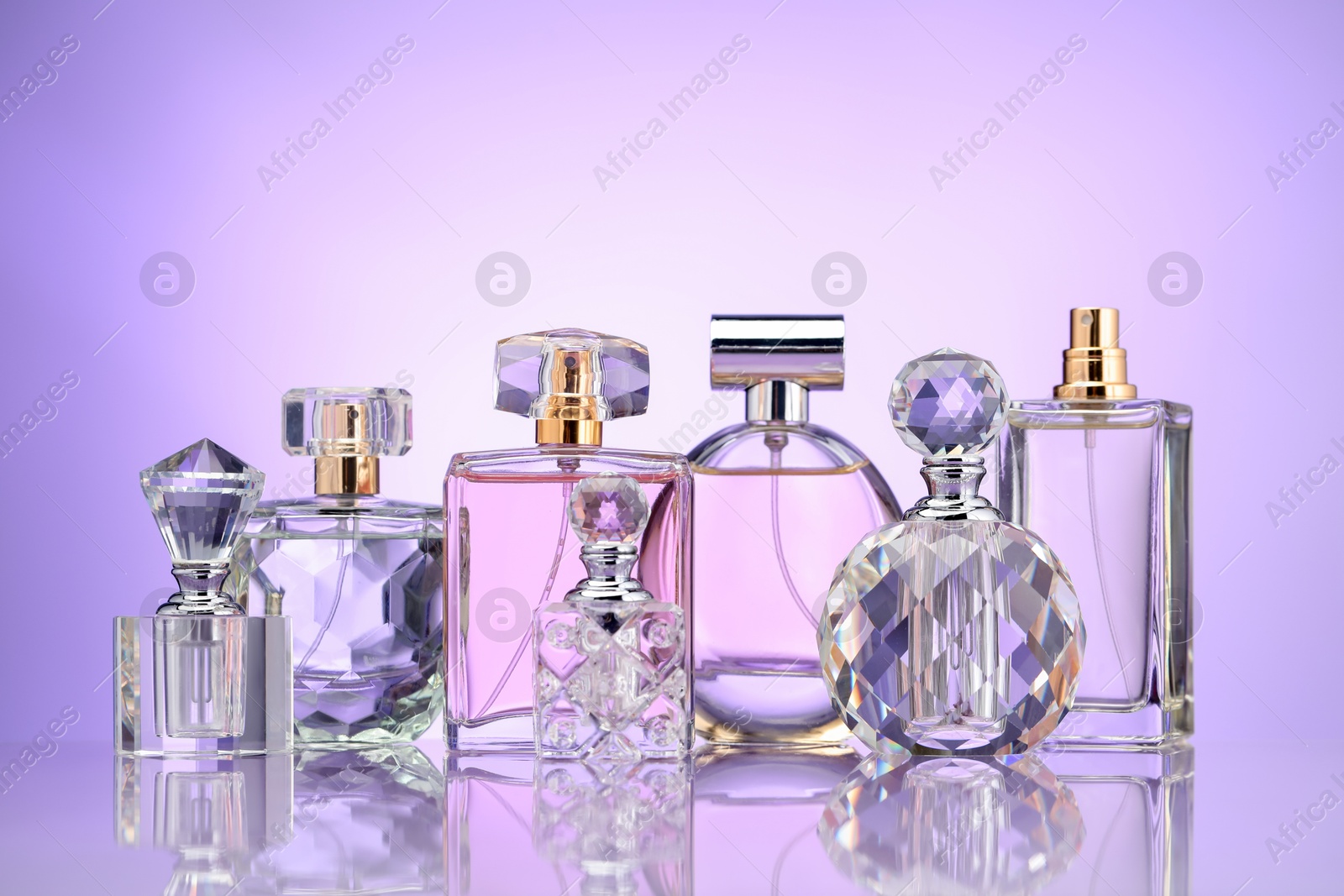 Bottles of perfume and lilac flowers on mirror surface against violet gradient background Photo of Bottles of perfume and lilac flowers on mirror surface against violet gradient background