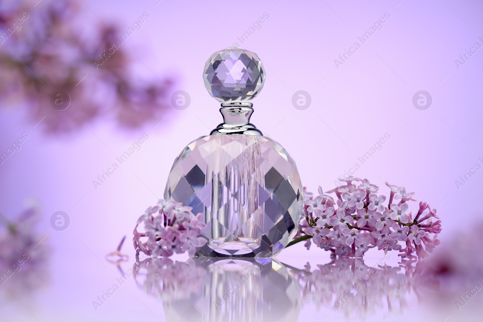 Bottle of perfume and lilac flowers on mirror surface against violet gradient background, selective focus Photo of Bottle of perfume and lilac flowers on mirror surface against violet gradient background, selective focus