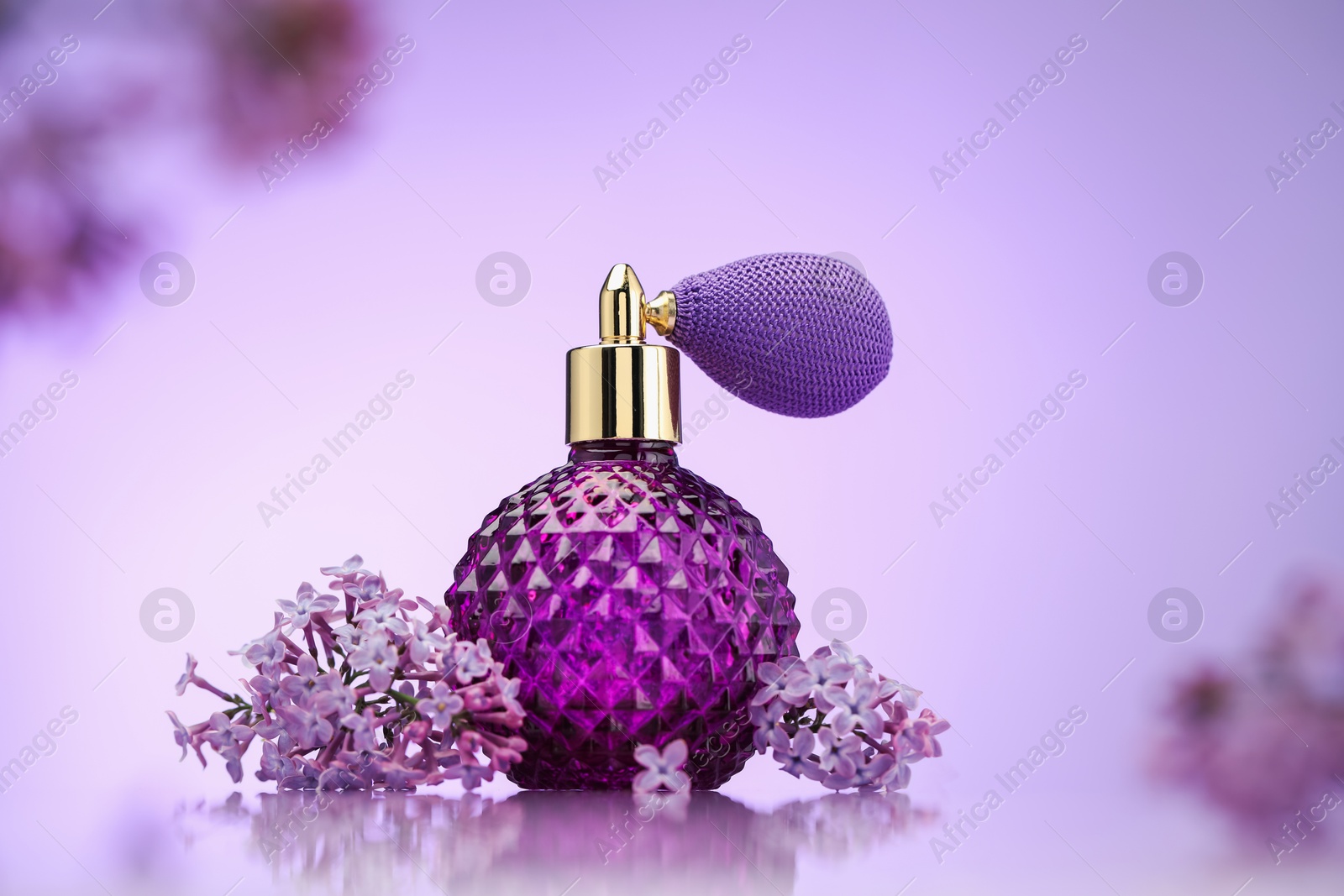 Bottle of perfume and lilac flowers on mirror surface against violet gradient background, selective focus Photo of Bottle of perfume and lilac flowers on mirror surface against violet gradient background, selective focus