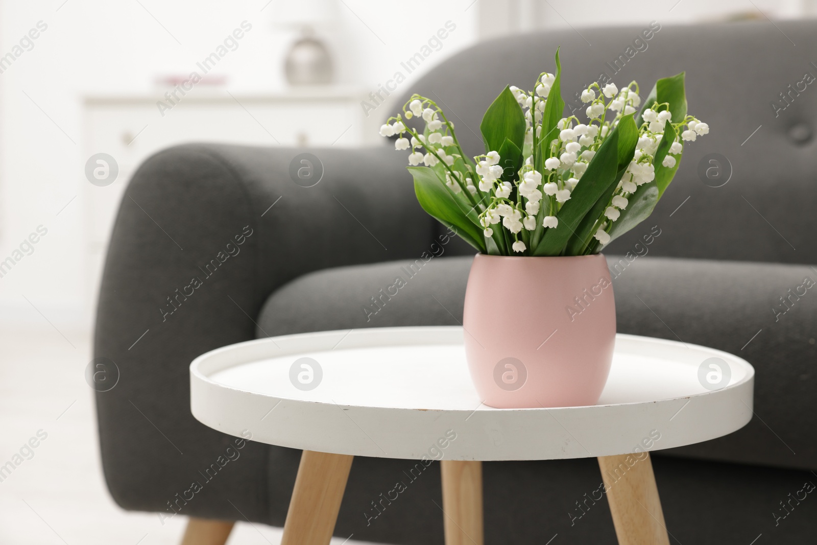 Bouquet of beautiful lily-of-the-valley on coffee table indoors Photo of Bouquet of beautiful lily-of-the-valley on coffee table indoors