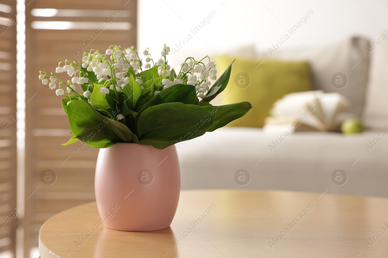 Bouquet of beautiful lily-of-the-valley on coffee table indoors Photo of Bouquet of beautiful lily-of-the-valley on coffee table indoors