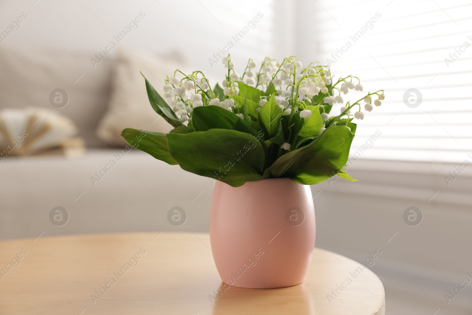 Bouquet of beautiful lily-of-the-valley on coffee table indoors, closeup Photo of Bouquet of beautiful lily-of-the-valley on coffee table indoors, closeup