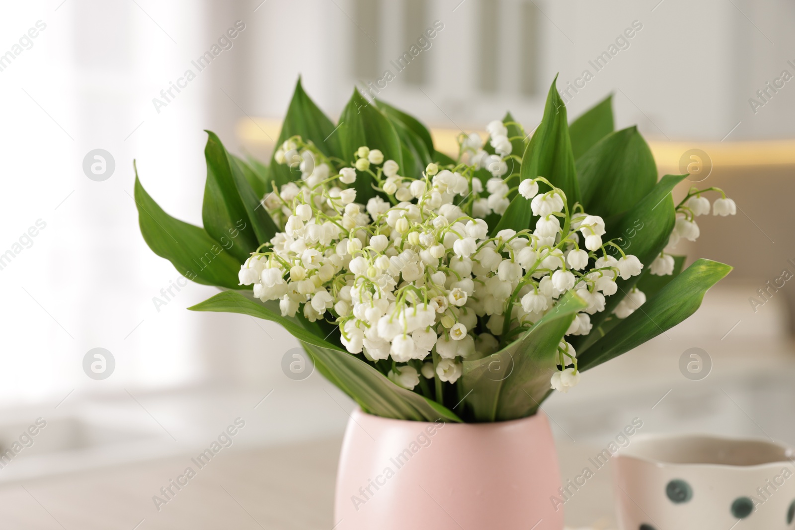Bouquet of beautiful lily-of-the-valley at home, closeup Photo of Bouquet of beautiful lily-of-the-valley at home, closeup