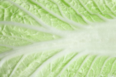 Photo of Leaf of fresh Chinese cabbage as background, top view