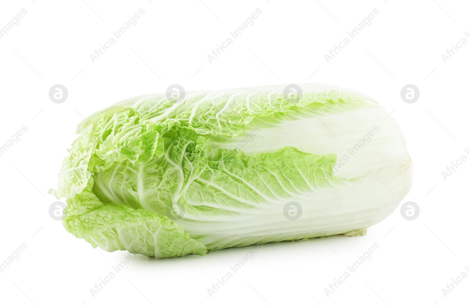 One fresh Chinese cabbage isolated on white Photo of One fresh Chinese cabbage isolated on white