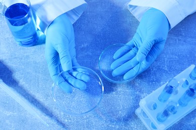 Photo of Scientist with Petri dishes at table, above view