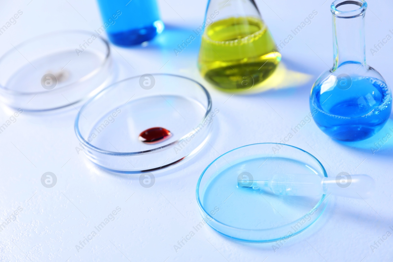 Petri dishes and flasks with samples on white background, closeup Photo of Petri dishes and flasks with samples on white background, closeup