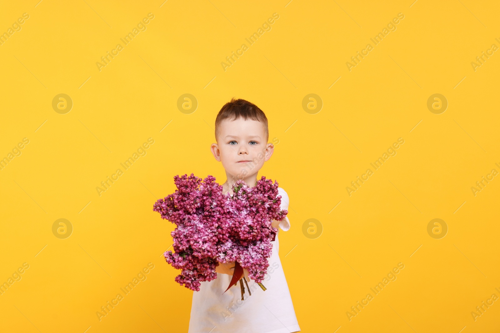 Little boy with bouquet of lilac flowers on yellow background Photo of Little boy with bouquet of lilac flowers on yellow background