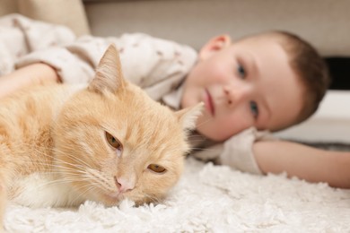 Photo of Little boy with his cute ginger cat at home, selective focus