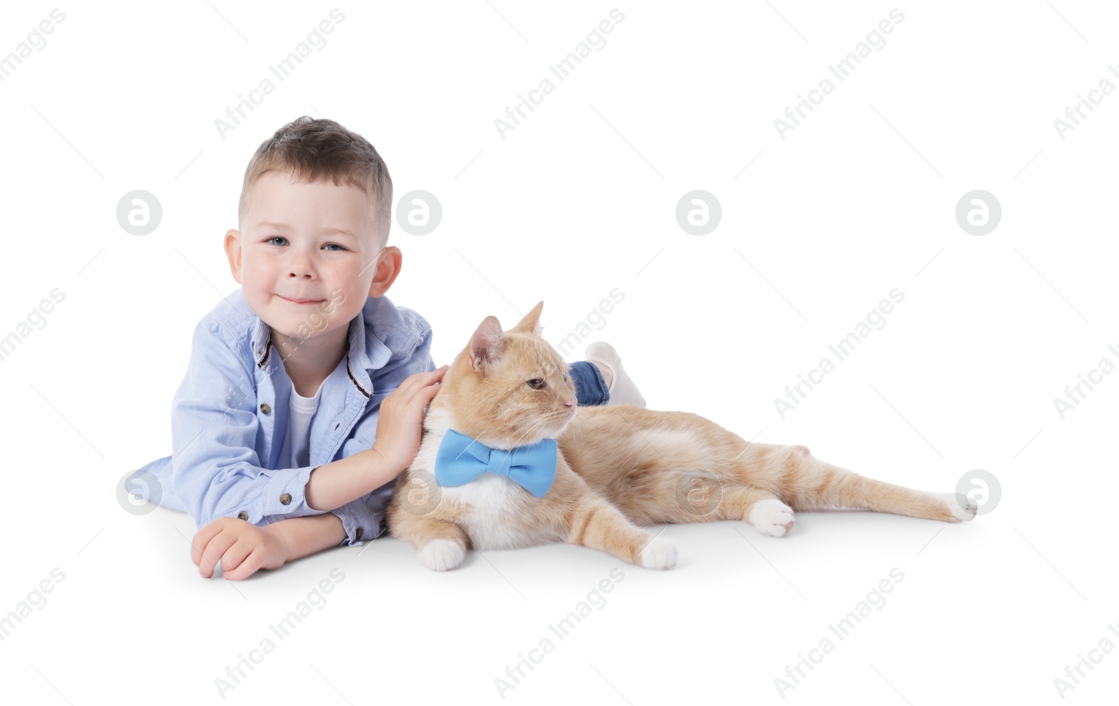 Little boy with her cute ginger cat on white background Photo of Little boy with her cute ginger cat on white background