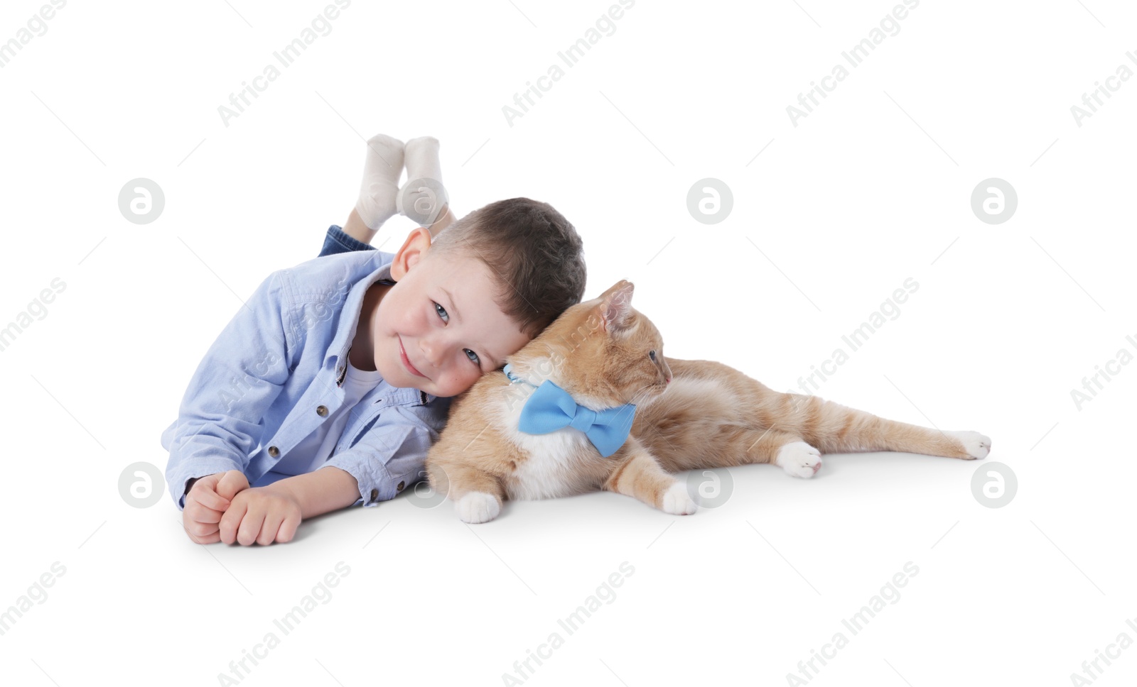 Little boy with her cute ginger cat on white background Photo of Little boy with her cute ginger cat on white background