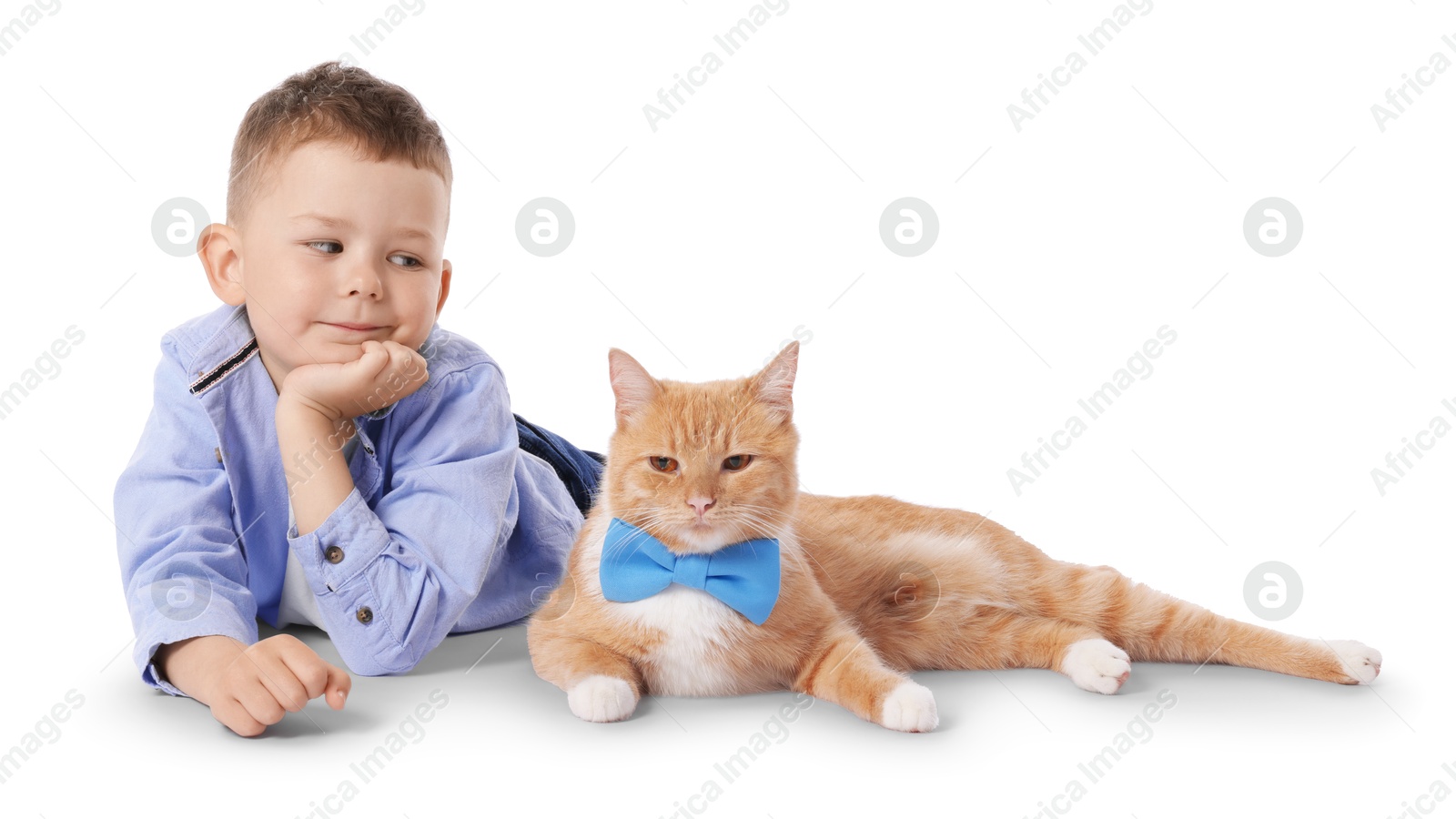 Little boy with her cute ginger cat on white background Photo of Little boy with her cute ginger cat on white background
