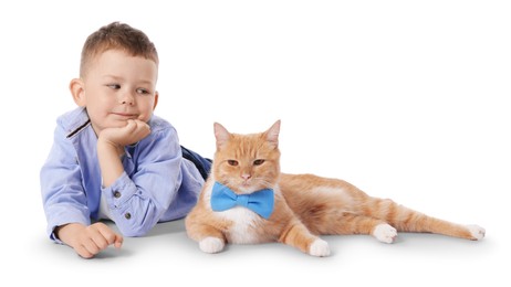 Photo of Little boy with her cute ginger cat on white background