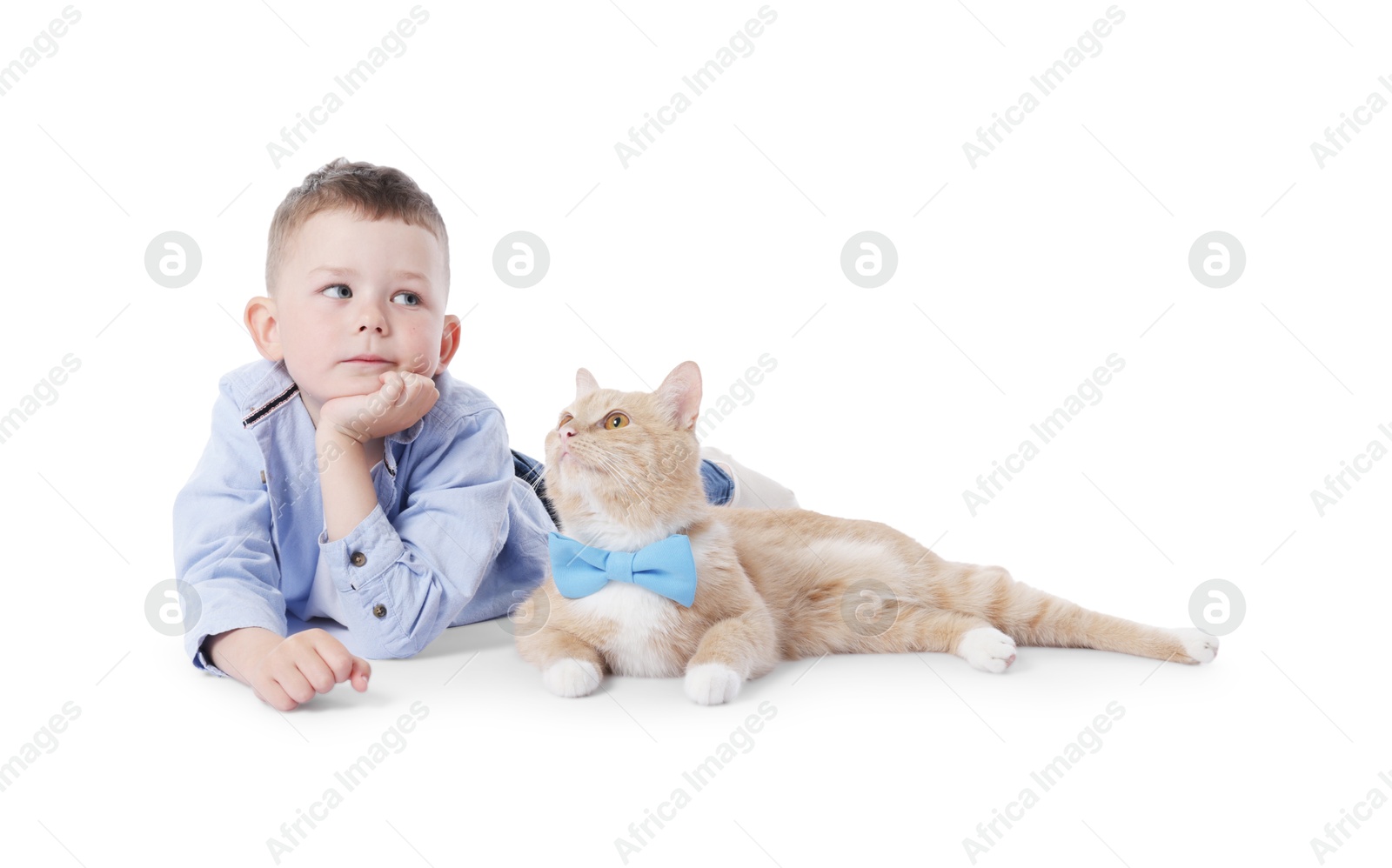 Little boy with her cute ginger cat on white background Photo of Little boy with her cute ginger cat on white background