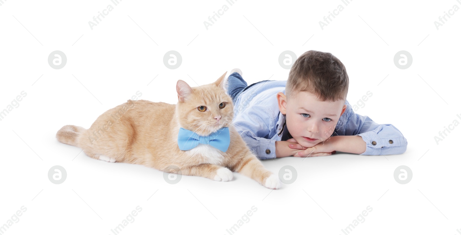 Little boy with her cute ginger cat on white background Photo of Little boy with her cute ginger cat on white background
