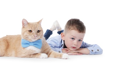 Photo of Little boy with her cute ginger cat on white background