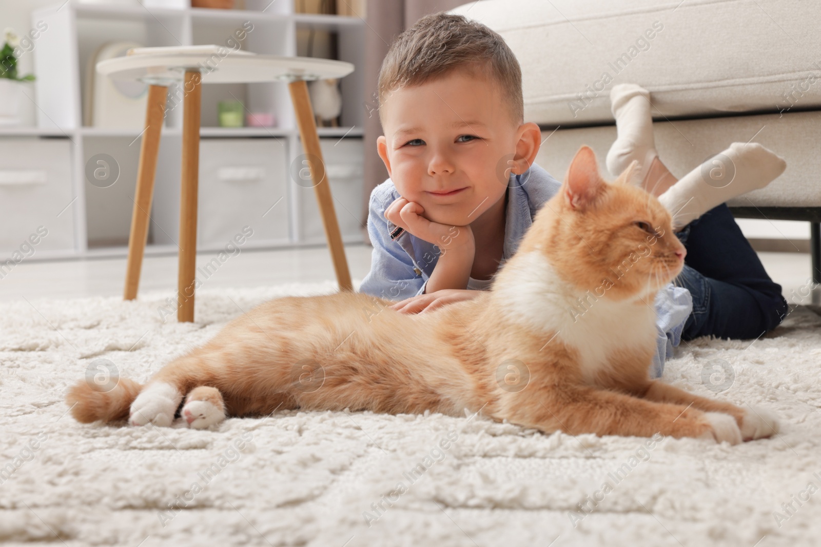 Little boy with his cute ginger cat at home Photo of Little boy with his cute ginger cat at home