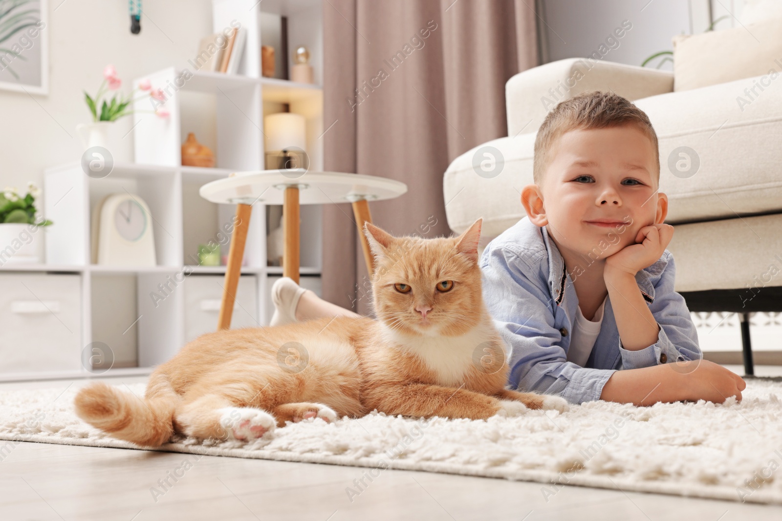 Little boy with his cute ginger cat at home Photo of Little boy with his cute ginger cat at home