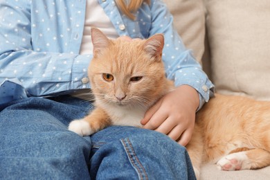 Photo of Little girl with her cute ginger cat at home, closeup