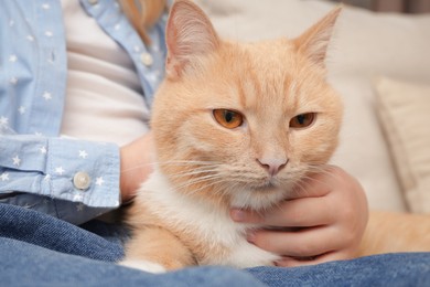 Photo of Little girl with her cute ginger cat at home, closeup