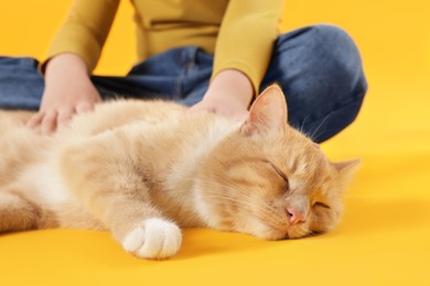 Photo of Little girl with her cute ginger cat on yellow background, closeup